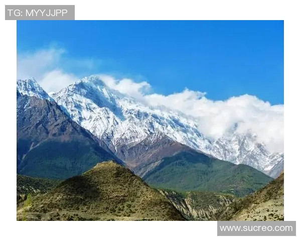 探索摩尔特里的魅力与秘密揭示这座城市的历史与文化之旅